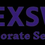 Nexswitch Corporate Profile Picture