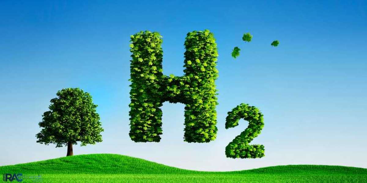 Policy support indexation for development of India as a hydrogen economy