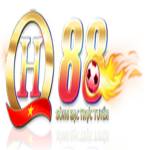 QH88 profile picture