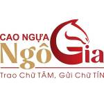 Cao Ngựa Bạch Profile Picture