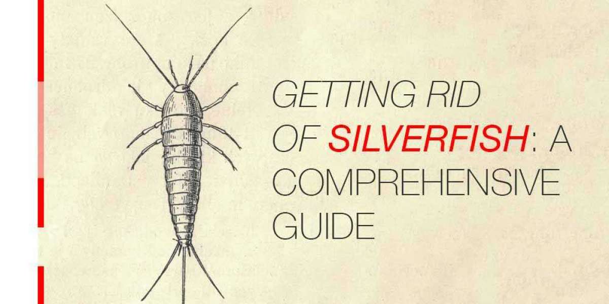 Getting Rid of Silverfish: A Comprehensive Guide