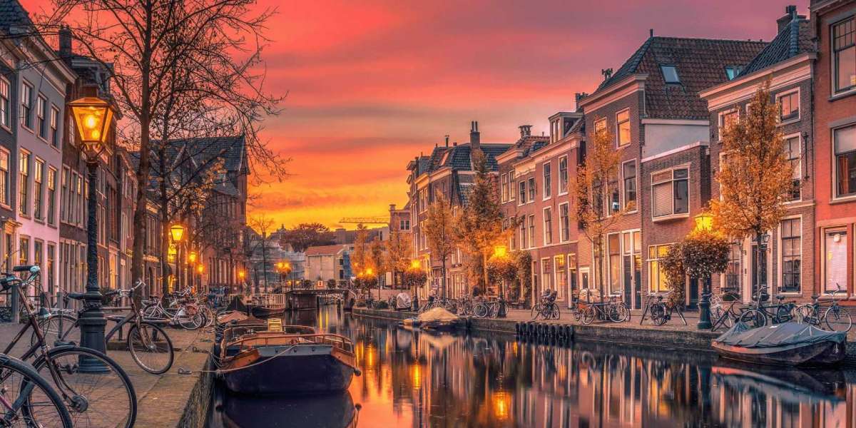 Essential Things To Know About Study In Netherlands
