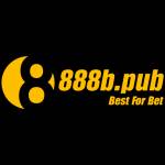 888b Pub Profile Picture