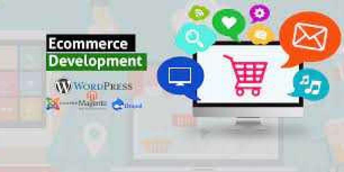 Maximizing Your Ecommerce Potential: How a Web Development Company Can Help