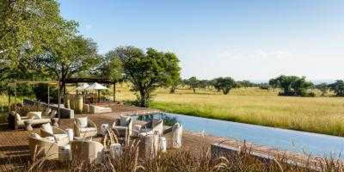 Vencha Travel Offers Personalized Travel Planning and Luxury Safari Packages Throughout East Africa
