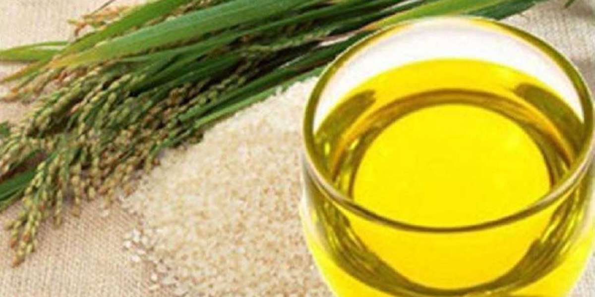 Dewaxing Rice Bran Oil: All You Need to Know