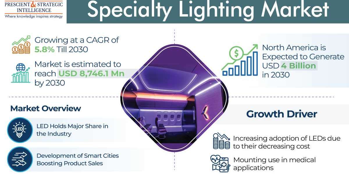 Global Perspective on the Specialty Lighting Industry: Opportunities and Challenges