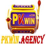 Pkwin Agency Profile Picture