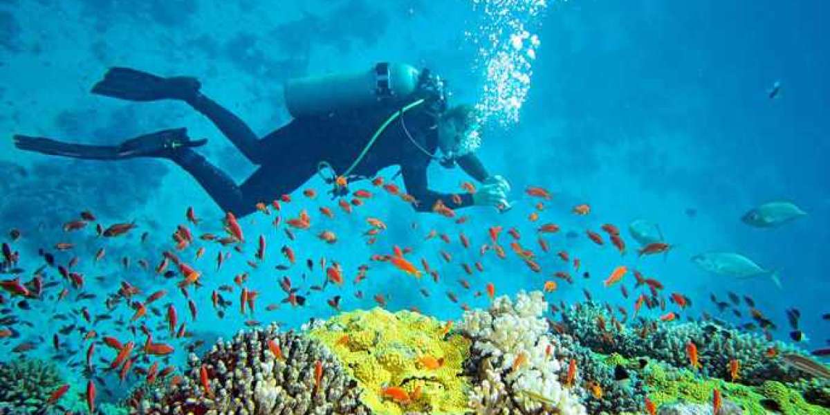 Scuba Diving in Andaman - Thrilling Adventure