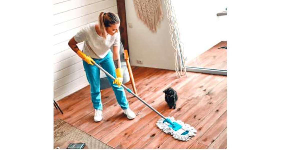 Maintaining Your Melbourne Home: The Importance of Regular Cleaning
