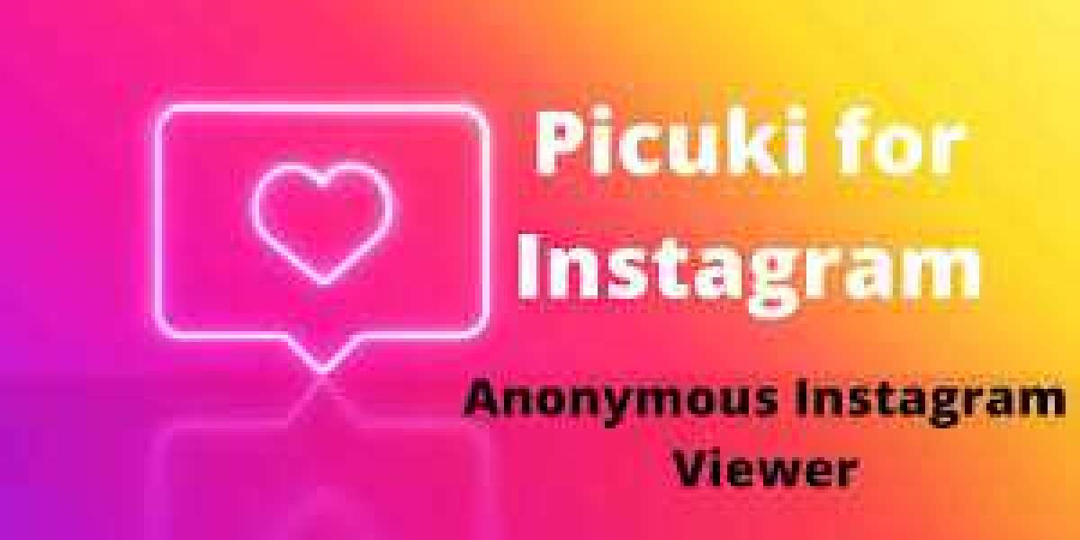 Picuki: An Anonymous Instagram Story Viewer