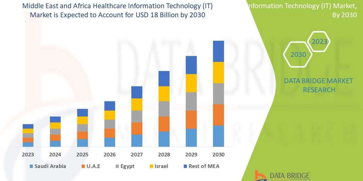 Middle East and Africa Healthcare IT Market to Observe Prominent CAGR Growth of 13.0% by 2030