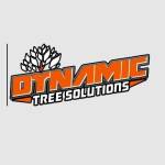 DYNAMIC TREE SOLUTIONS Profile Picture