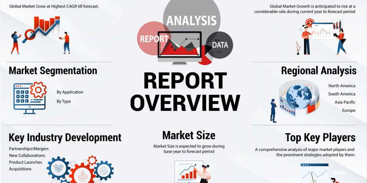 Data Mining Tools Market Overview: Key Insights