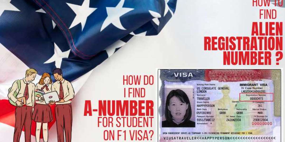 What is A-Number or alien registration number on green card for student on F1 visa?