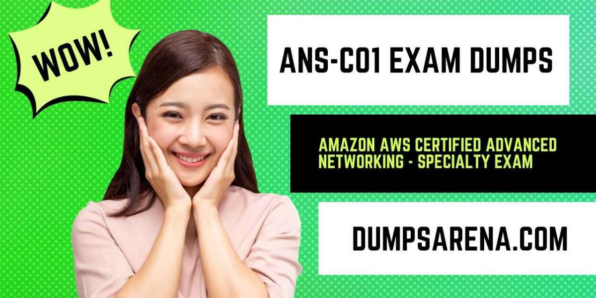 ANS-C01 Exam Dumps - Everything You Need to Know