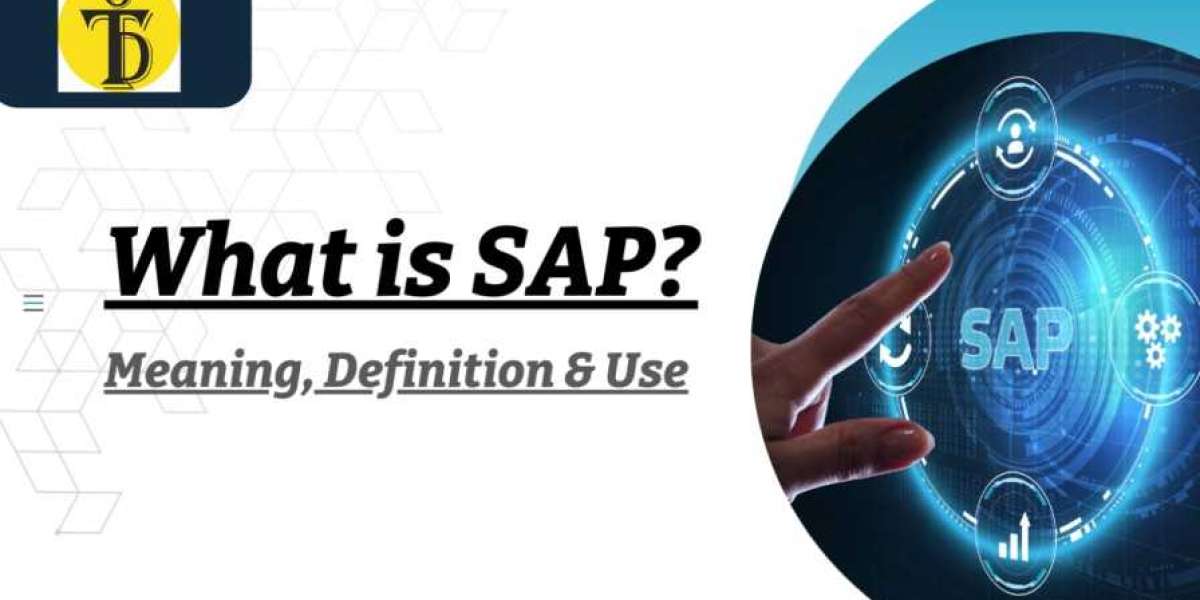 What is SAP or SAP ERP ? Meaning, Definition, and Use