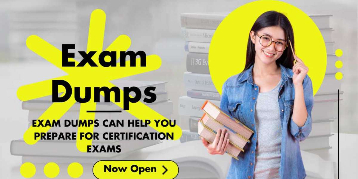 Beyond the Books: Exam Dumps and the Art of Smart Studying!