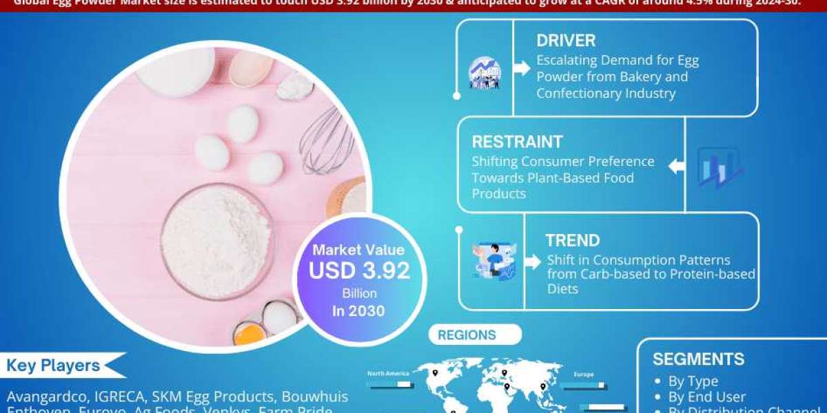 Latest Insight Egg Powder Market 2024-2030: Opportunity, Challenges, Industry Growth, Size, Share, Trends & Investme