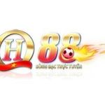 QH88 profile picture