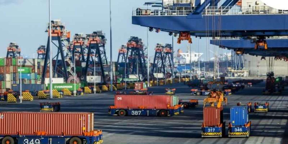 Top 5 Leading Companies in UAE Port Automation Market | Latest Investment, Growth Strategies and Business Plan for Comin