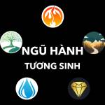 nguhanh tuongsinh Profile Picture