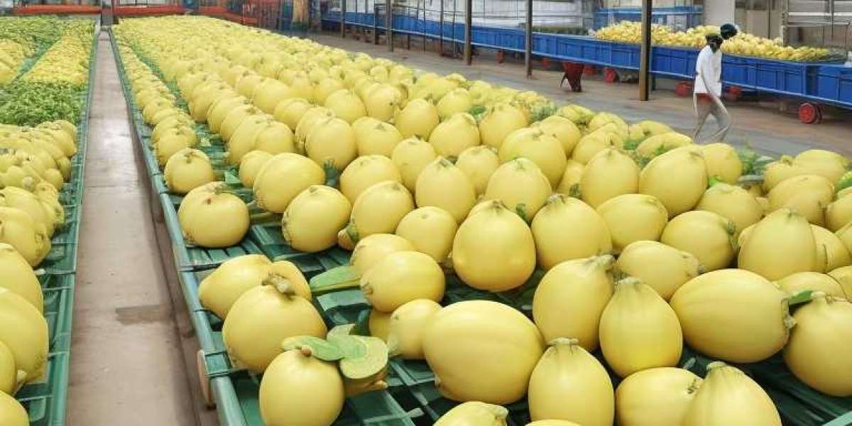 Jackfruit Processing Plant Project Report 2024, Unit Operations, Raw Material Requirements and Cost