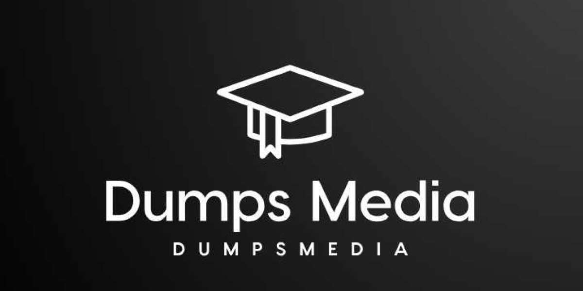 Inside Dumps Media: Uncovering the Content Chest