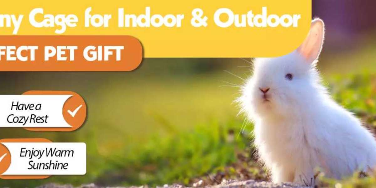 Rabbit Hutch and Rabbit Health