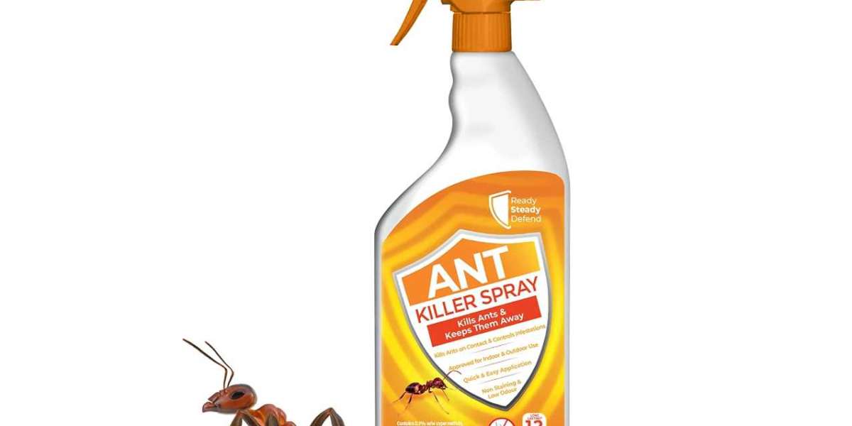 DIY Ant Spray Solutions for a Pest-Free Home