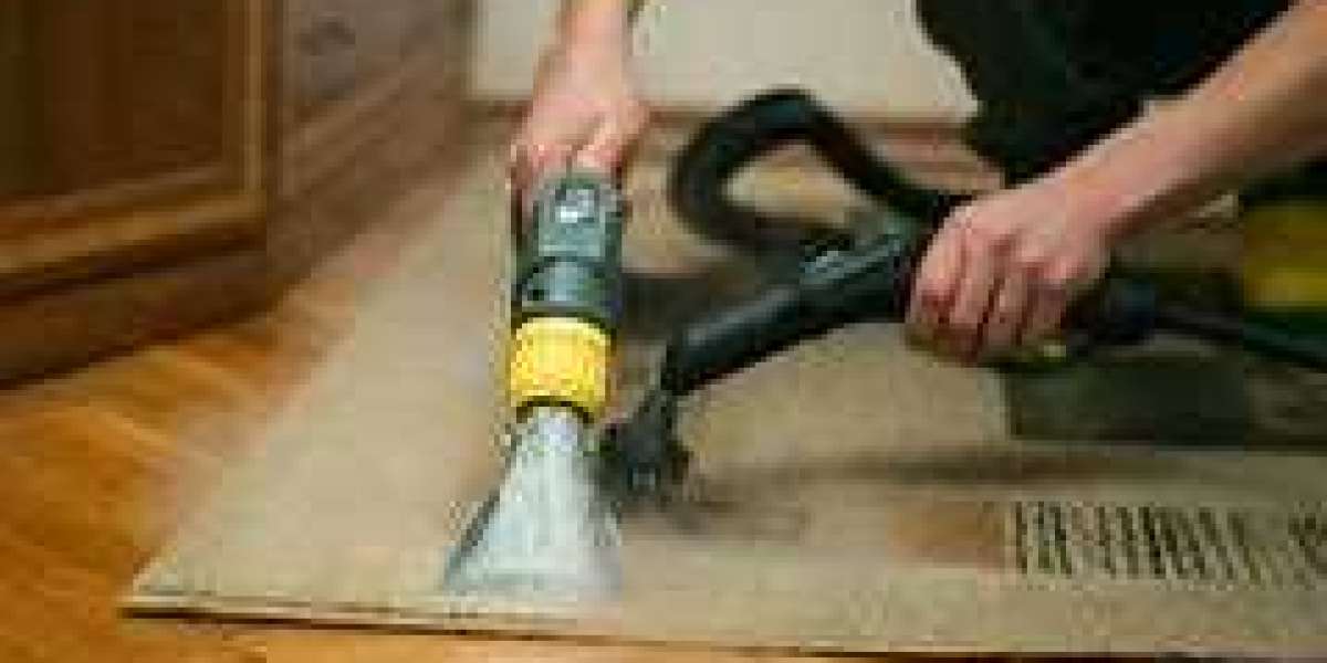 How Regular Carpet Cleaning Services Safeguards Your Home