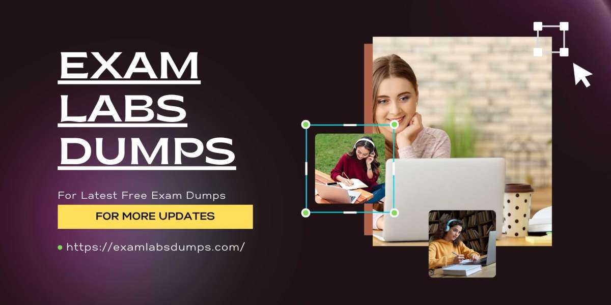 Unleash Excellence: Exam Dumps by ExamLabsDumps Unveiled