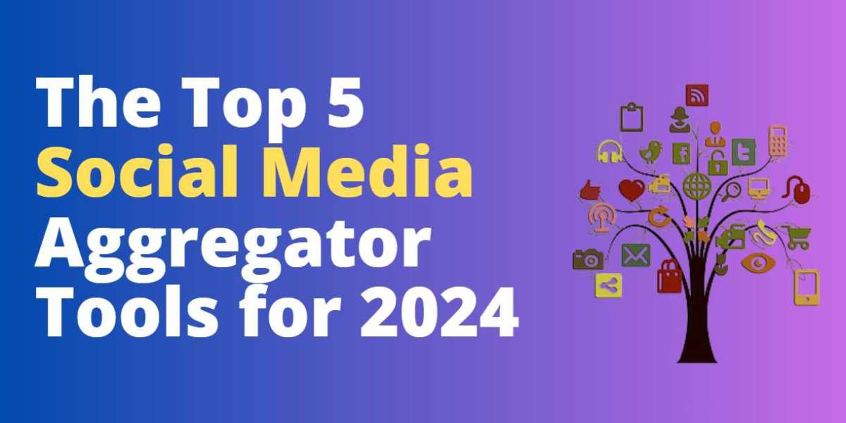 The Top 5 Social Media Aggregator Tools for 2024