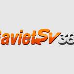 Gaviet SV388 profile picture