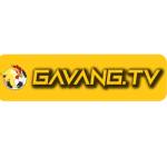 Gavang TV Profile Picture