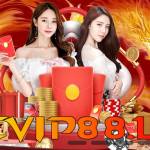 Evip88 Li Profile Picture