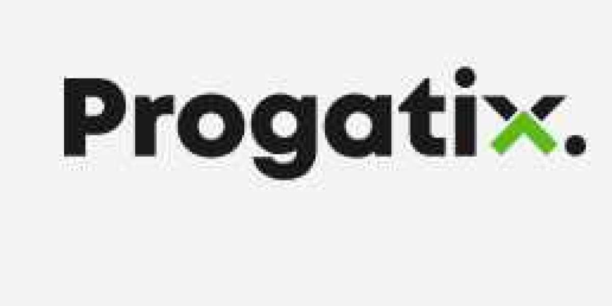 Leading the Way: Progatix's Expertise in Software Development