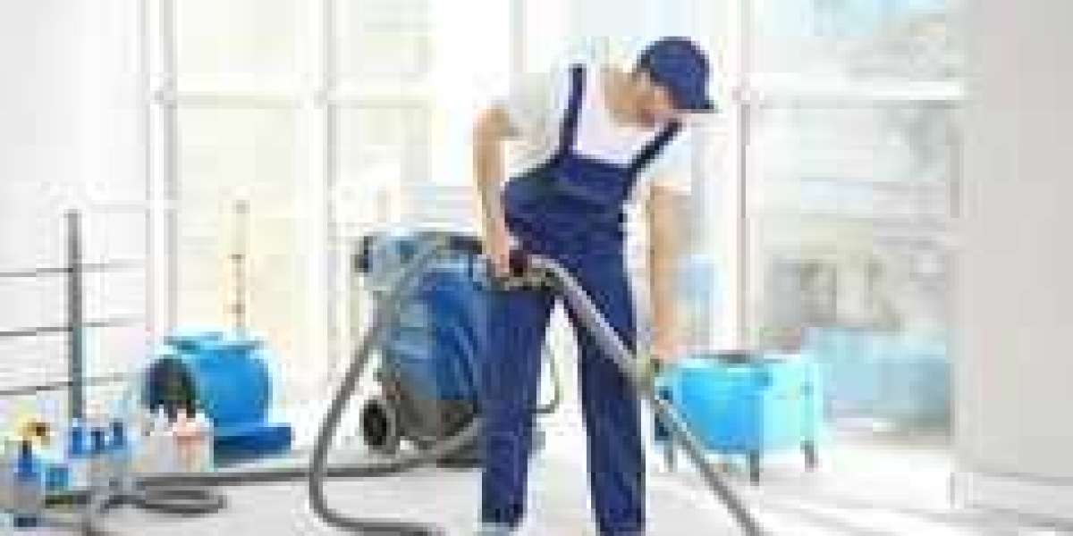 Professional Carpet Cleaning: Key to a Beautiful, Healthy Home