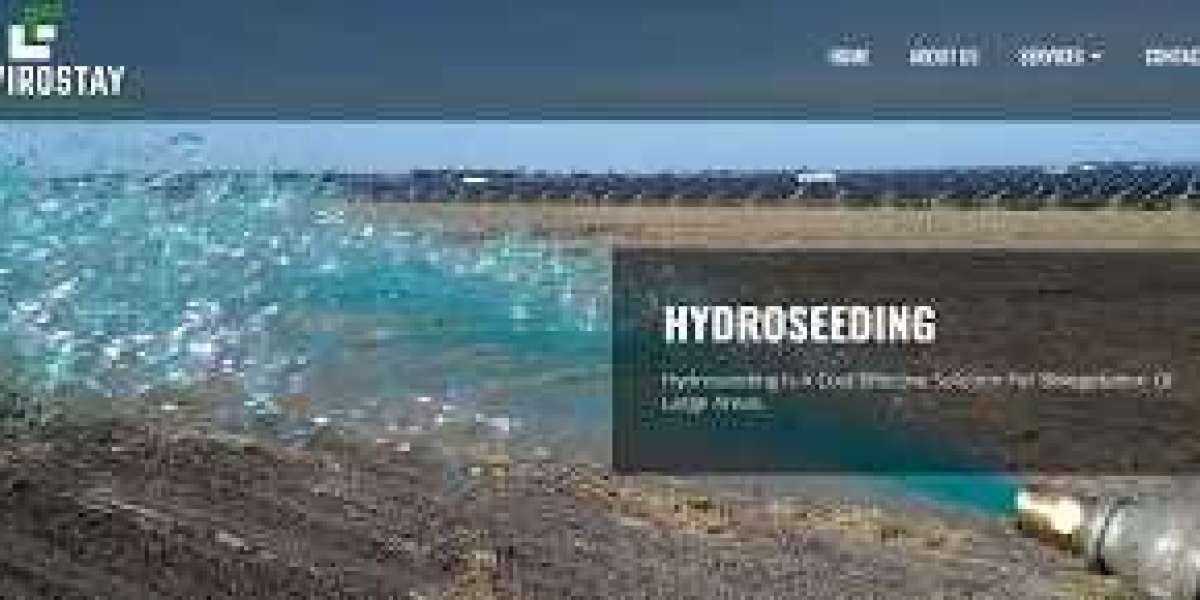 Hydroseeding: A Comprehensive Guide to Prices and Locations