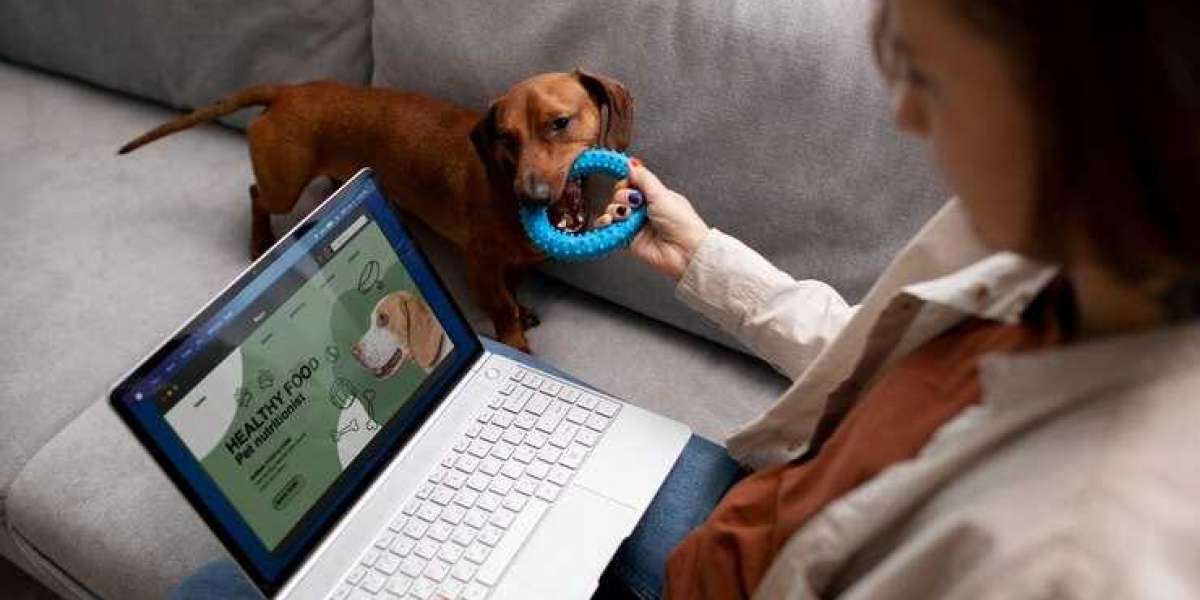 Online Veterinarian: Your Pet's Virtual Healthcare