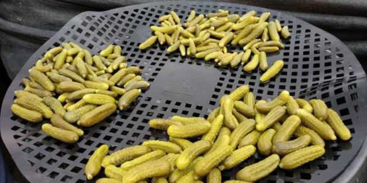 Indian Gherkin Exporters: A Growing Force in the Global Market