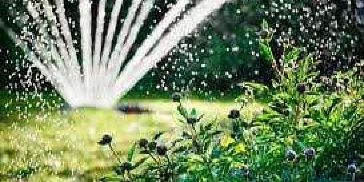 Efficient Irrigation Systems: Choosing the Right One for Your Garden