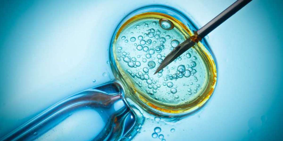 Finding the Best IVF Centre in Ahmedabad: Your Guide to Successful Fertility Treatment