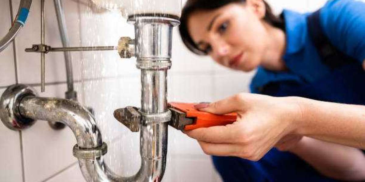 SE Plumbing: Your Trusted Plumber in Langwarrin