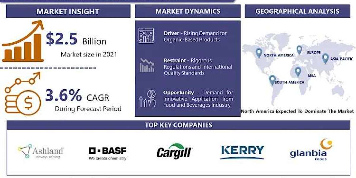 Food Stabilizer Market to Exhibit a Remarkable CAGR of 4.2% by 2032