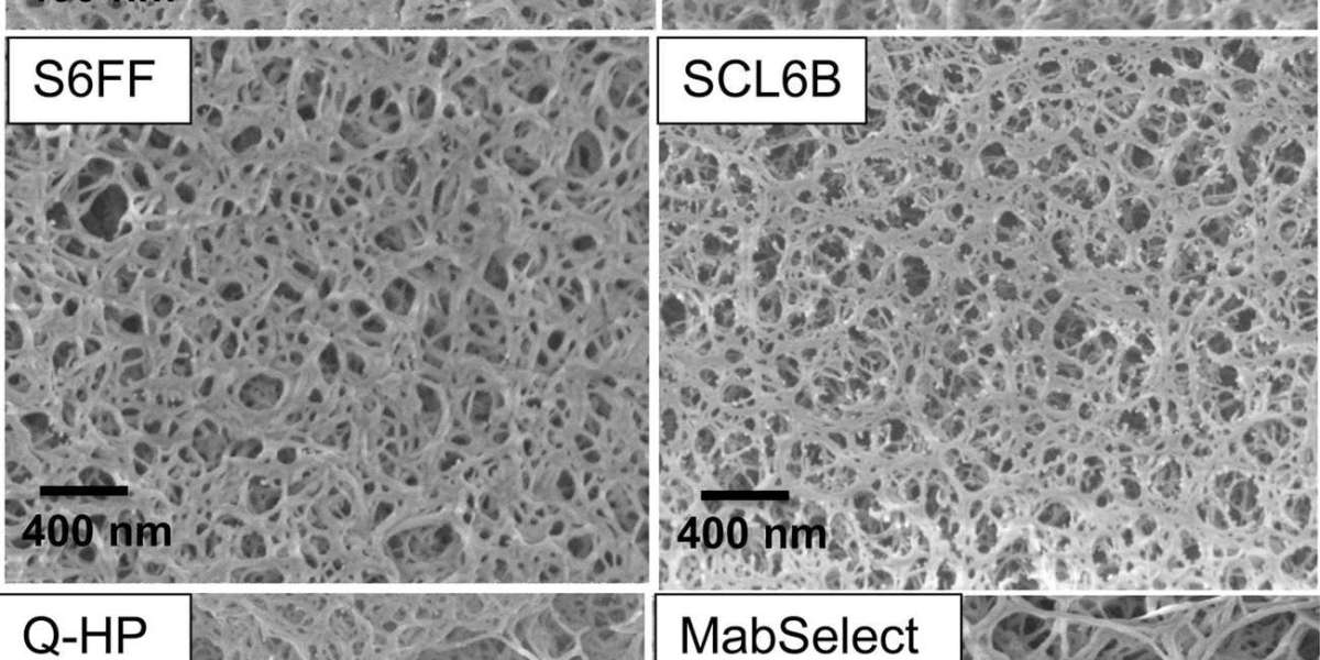 CD Bioparticles Announces New Line of Conjugated Agarose Particles for Affinity Separation and Purification