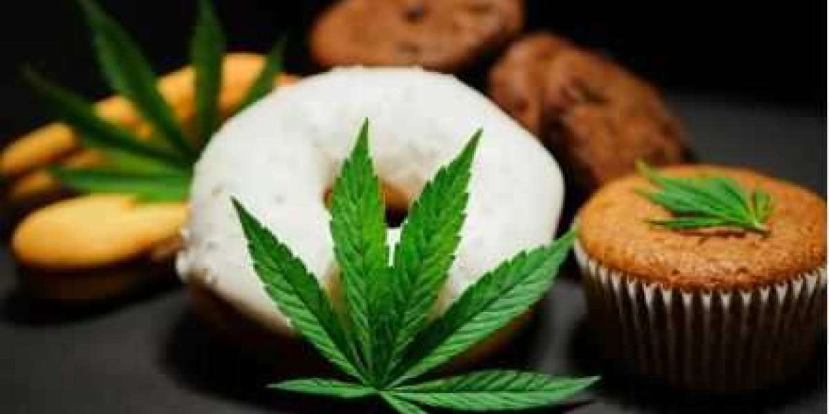 Cannabis Infused Edible Products Market 2024-2032: Industry Growth, Share, Size, Key Players Analysis