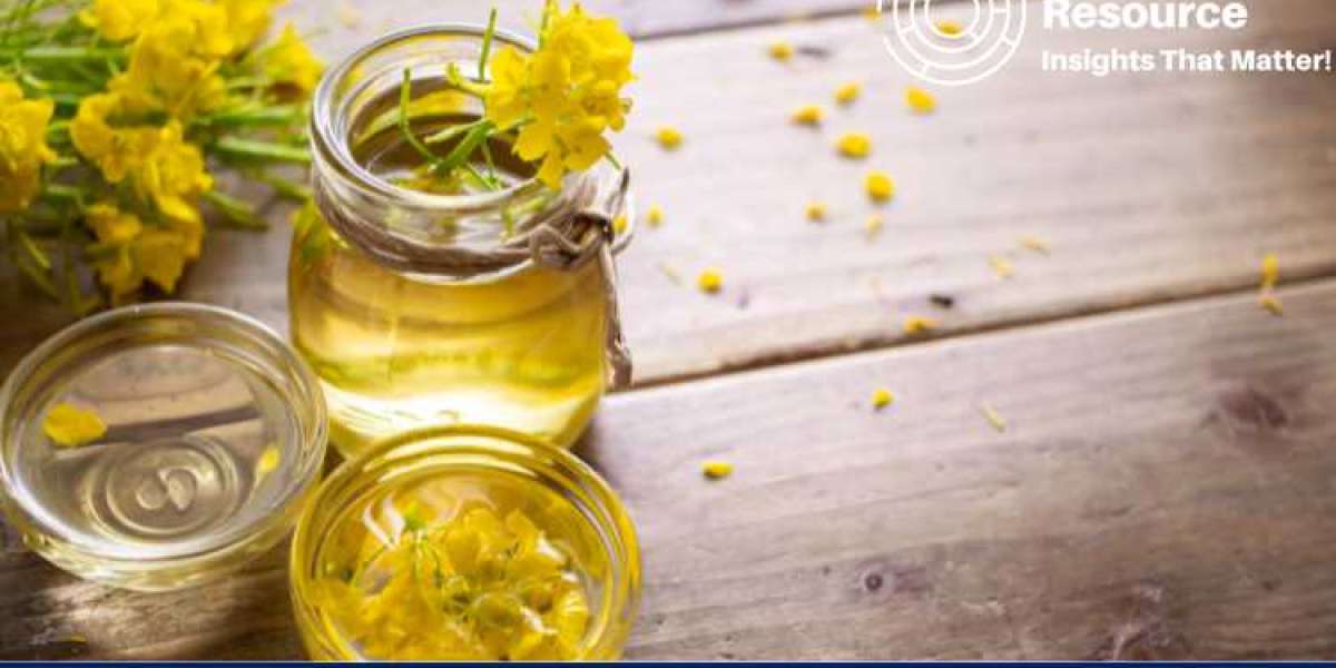 Rapeseed Oil Price Trend: A Detailed Market Overview and Future Projections