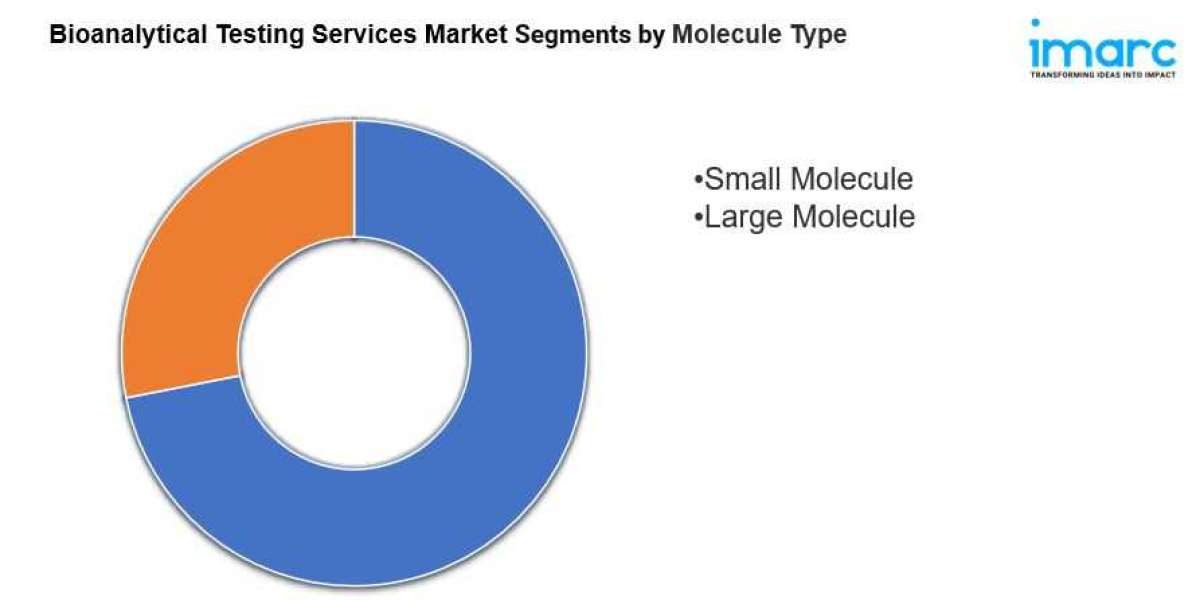 Bioanalytical Testing Services Market 2024-2032: Industry Growth, Share, Size, Key Players Analysis and Forecast