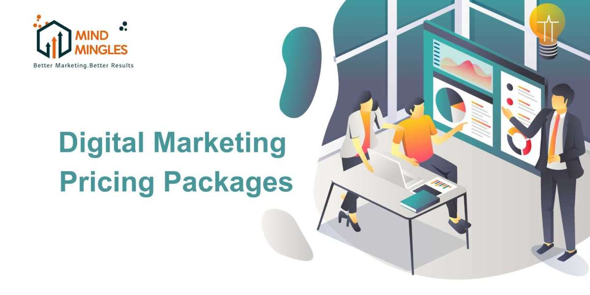 Understanding Digital Marketing Pricing Packages